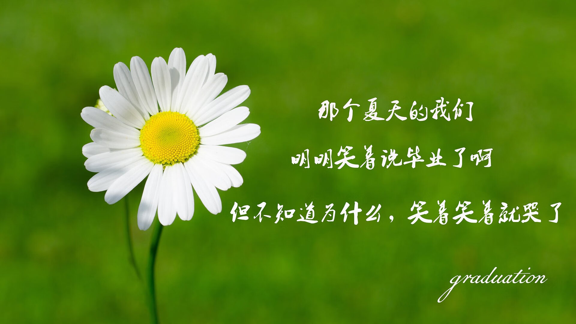 德甲六强鏖战：多特爆冷输球，莱比锡紧追不舍，多特德甲夺冠