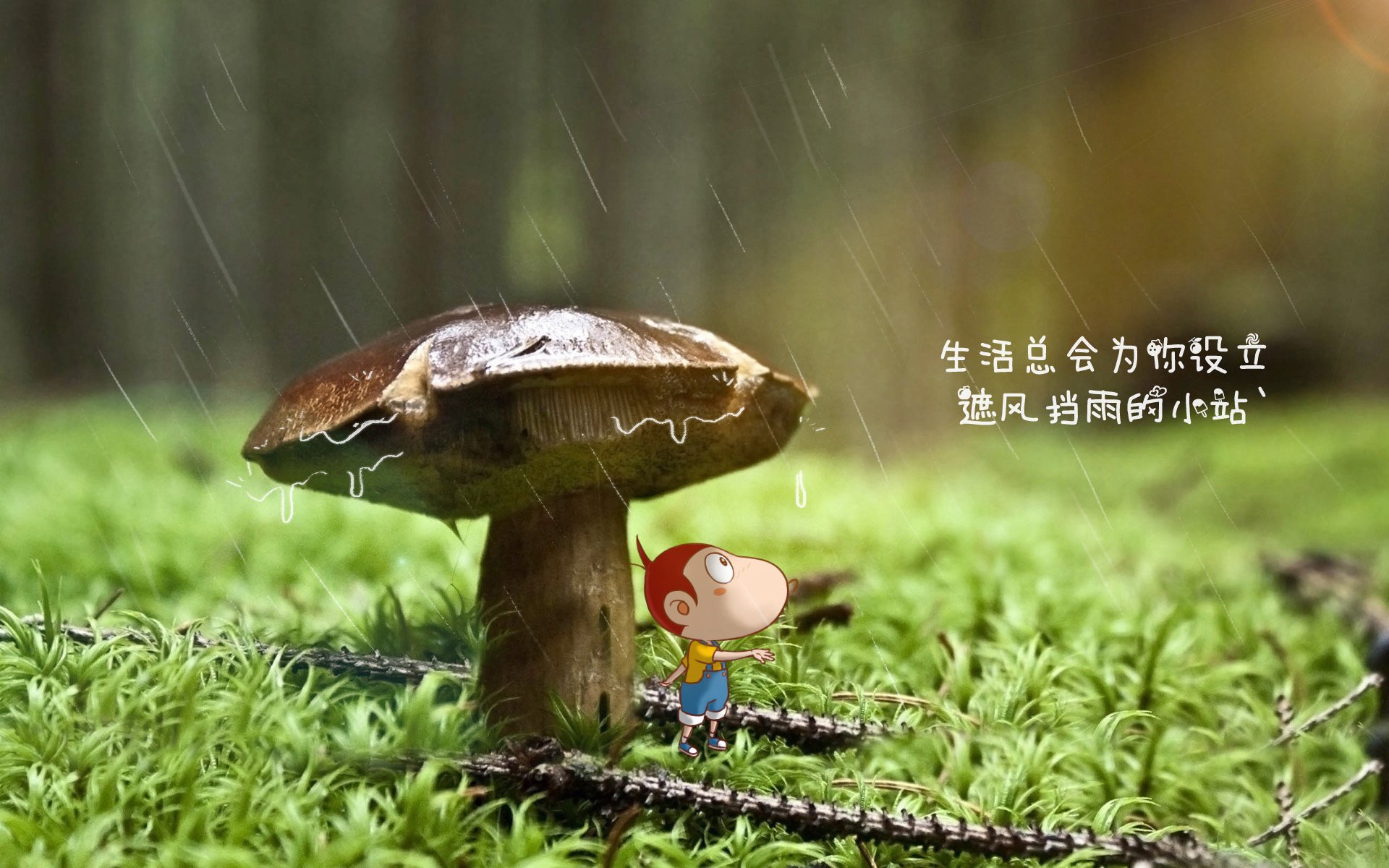 随机中国跳水队包揽8枚金牌，创历史新高，中国 跳水队