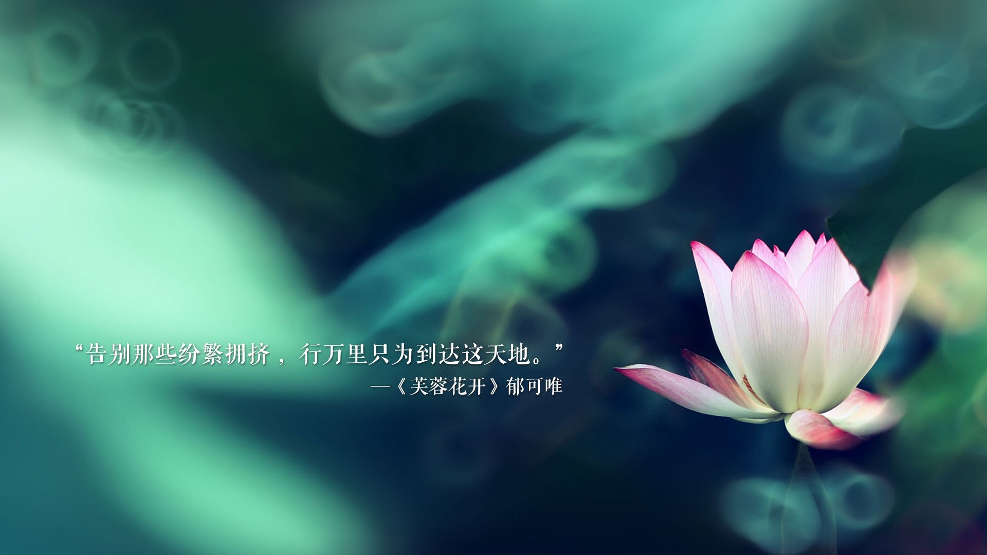 体育政策法规实施反馈与调整建议，体育政策法规实施反馈与调整建议怎么写