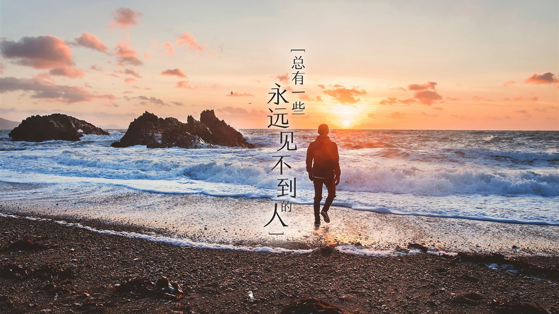 瑞典队未来挑战：如何应对全球乒乓竞技的激烈竞争，瑞典乒乓球公开赛冠军是谁