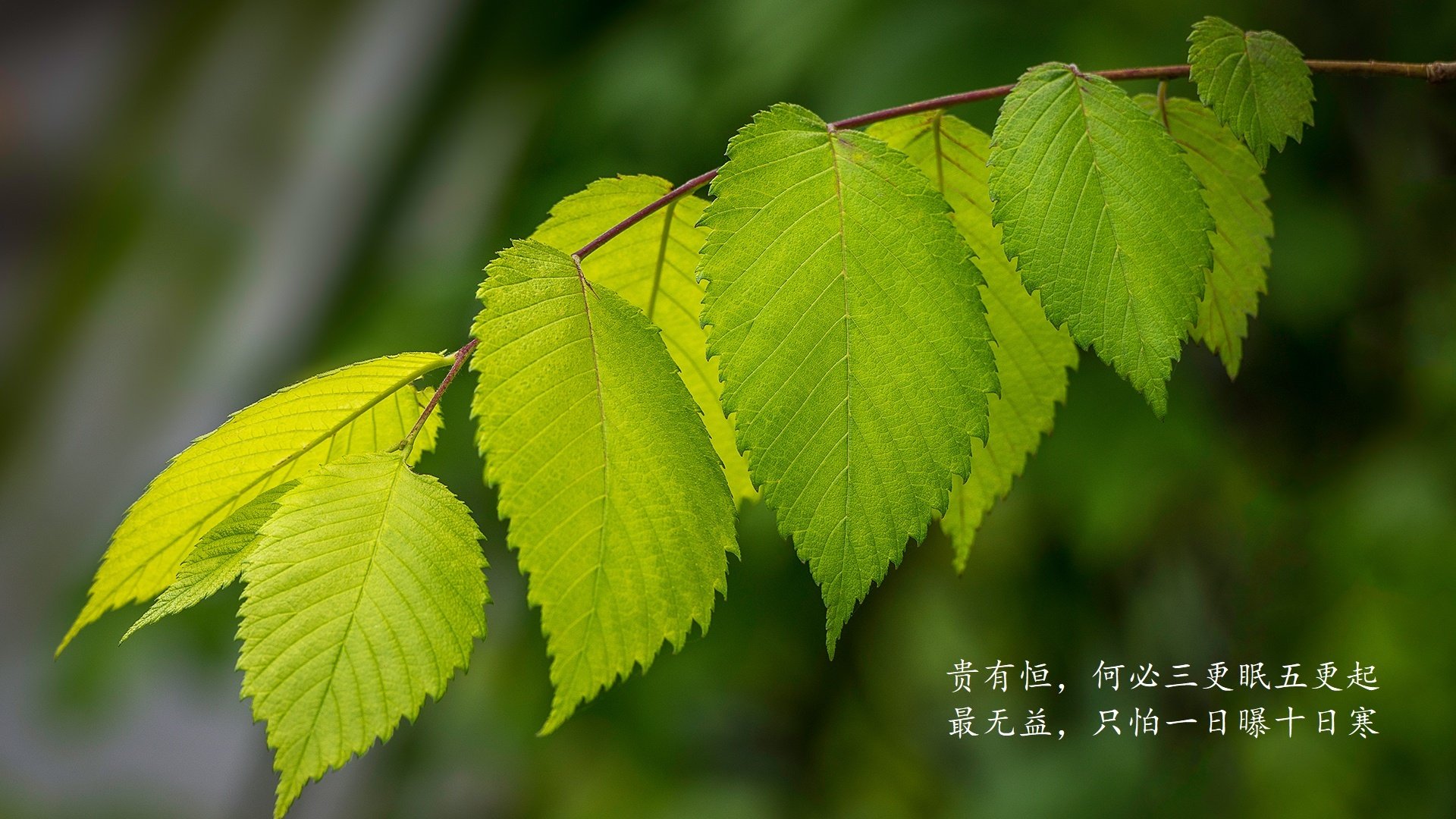 kaiyun官方入口登录-防守球员如何通过节奏压制对手出手，如何防守力量强的球员