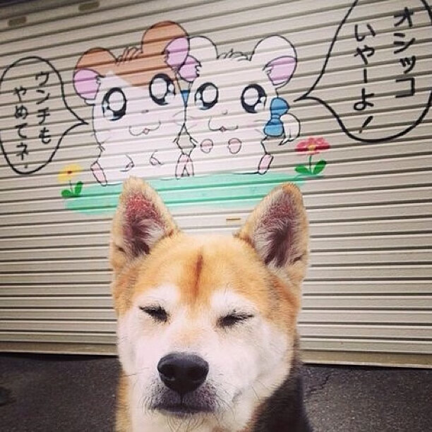 独行侠后卫群助攻数上升进攻更为流畅，独行侠队引援